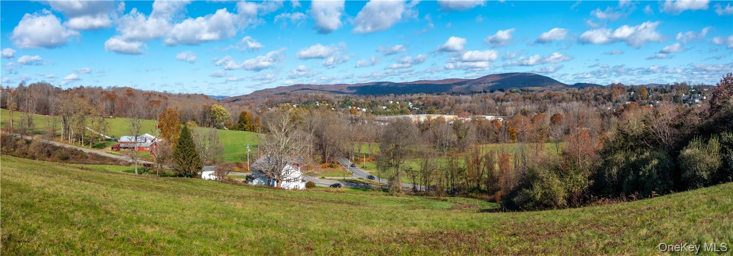 Cricket Hill Road Dover Plains, NY 12594 - Photo 8 of 9 a view of a back yard