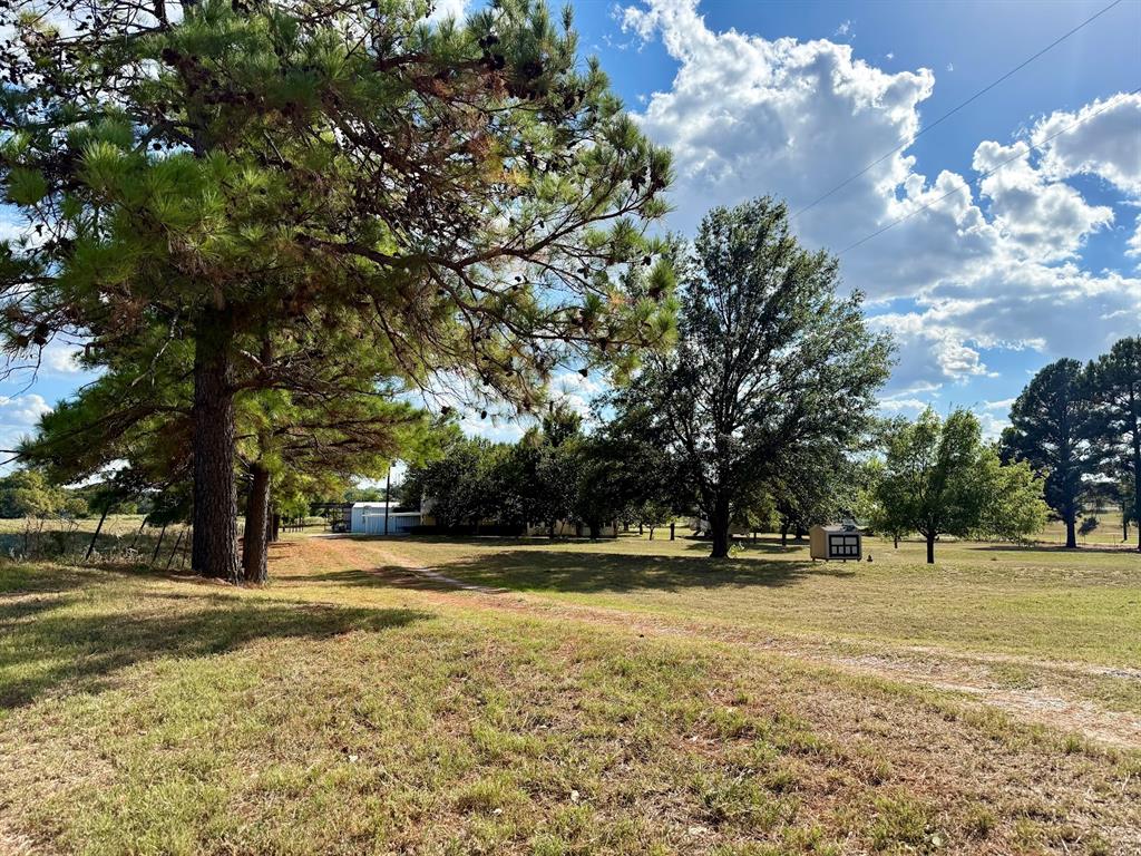 3420 Springfield Road Springtown, TX 76082 - Photo 13 of 39