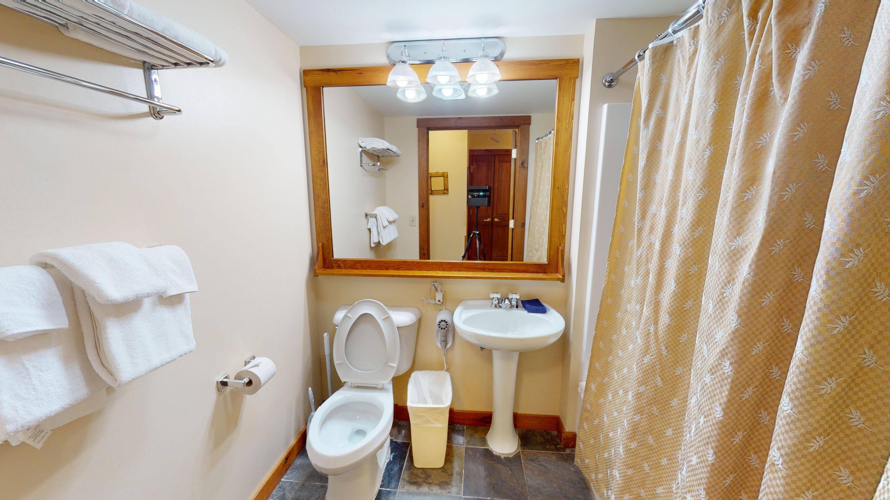 253 Rimfire Lodge Snowshoe, WV 26209 - Photo 12 of 24 Gallery Image 12
