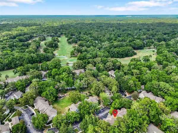 a potted plant sitting in front of a house