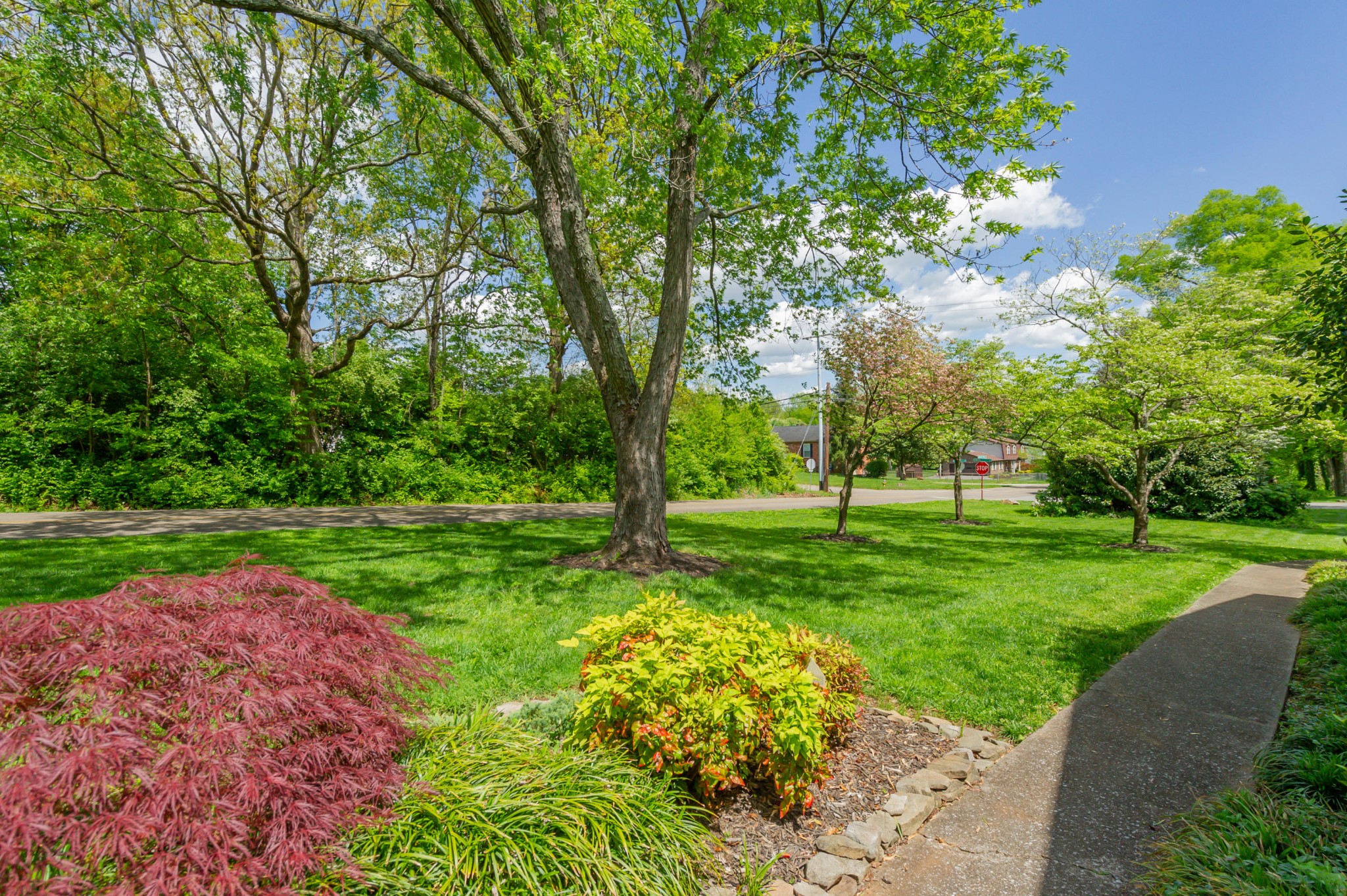831 Kevin Road Knoxville, TN 37923 - Photo 3 of 32 Gallery Image 3