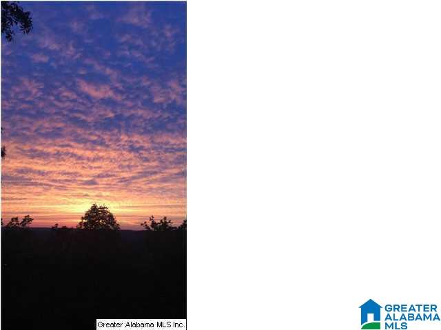 40 Shades Crest Road Birmingham, AL 35226 - Photo 2 of 32