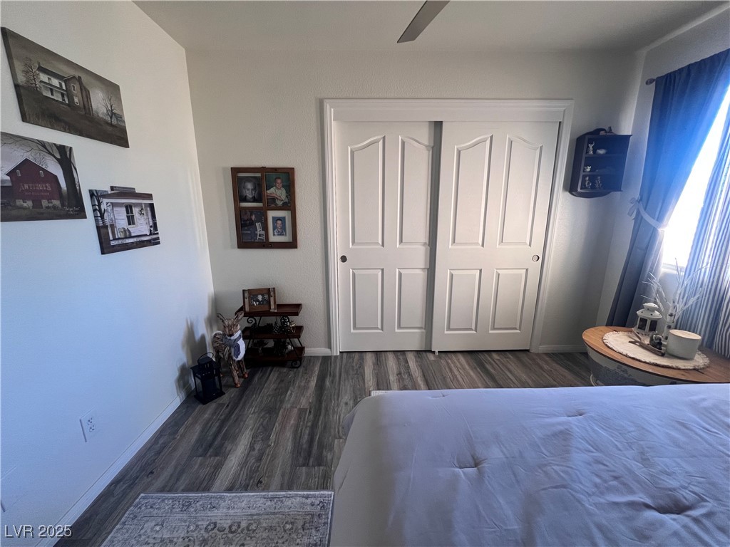 2970 Rio Rico Drive Pahrump, NV 89048 - Photo 41 of 53 Bedroom with wood finished floors and a closet