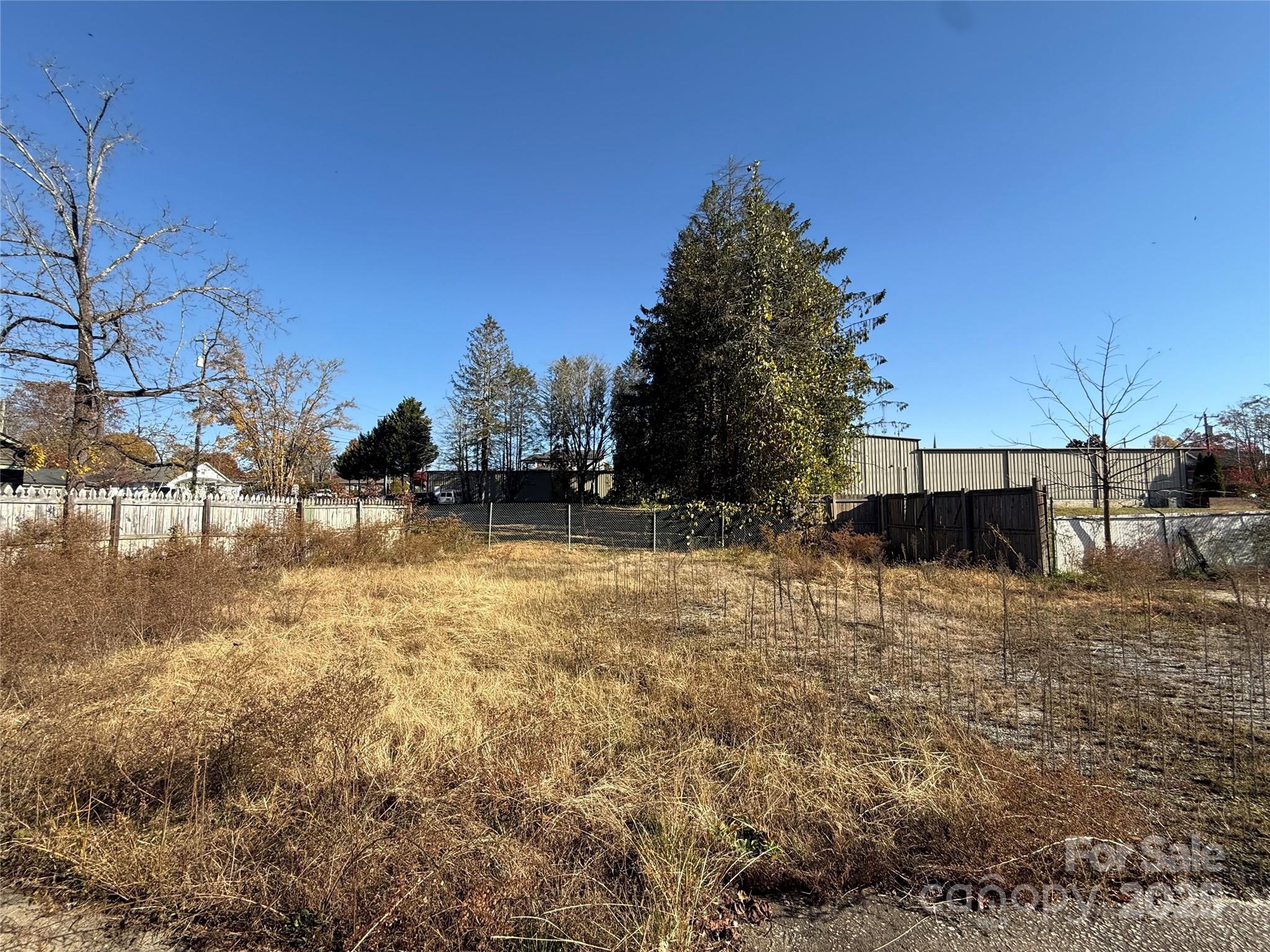 280 South Broad Street Brevard, NC 28712 - Photo 14 of 20 a view of a yard with an outdoor space