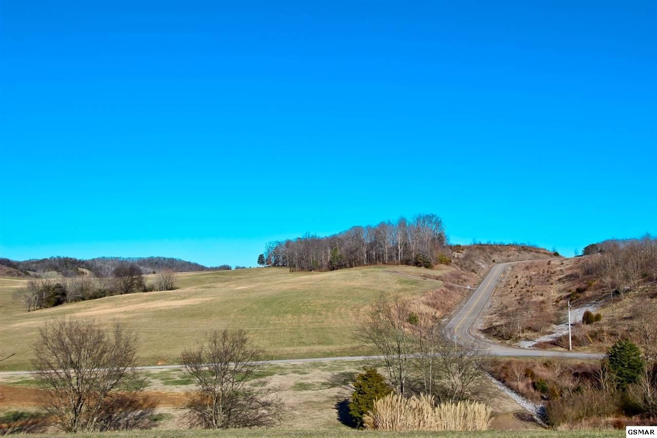 64 Upper West Road Parrottsville, TN 37843 - Photo 31 of 34 Gallery Image 31
