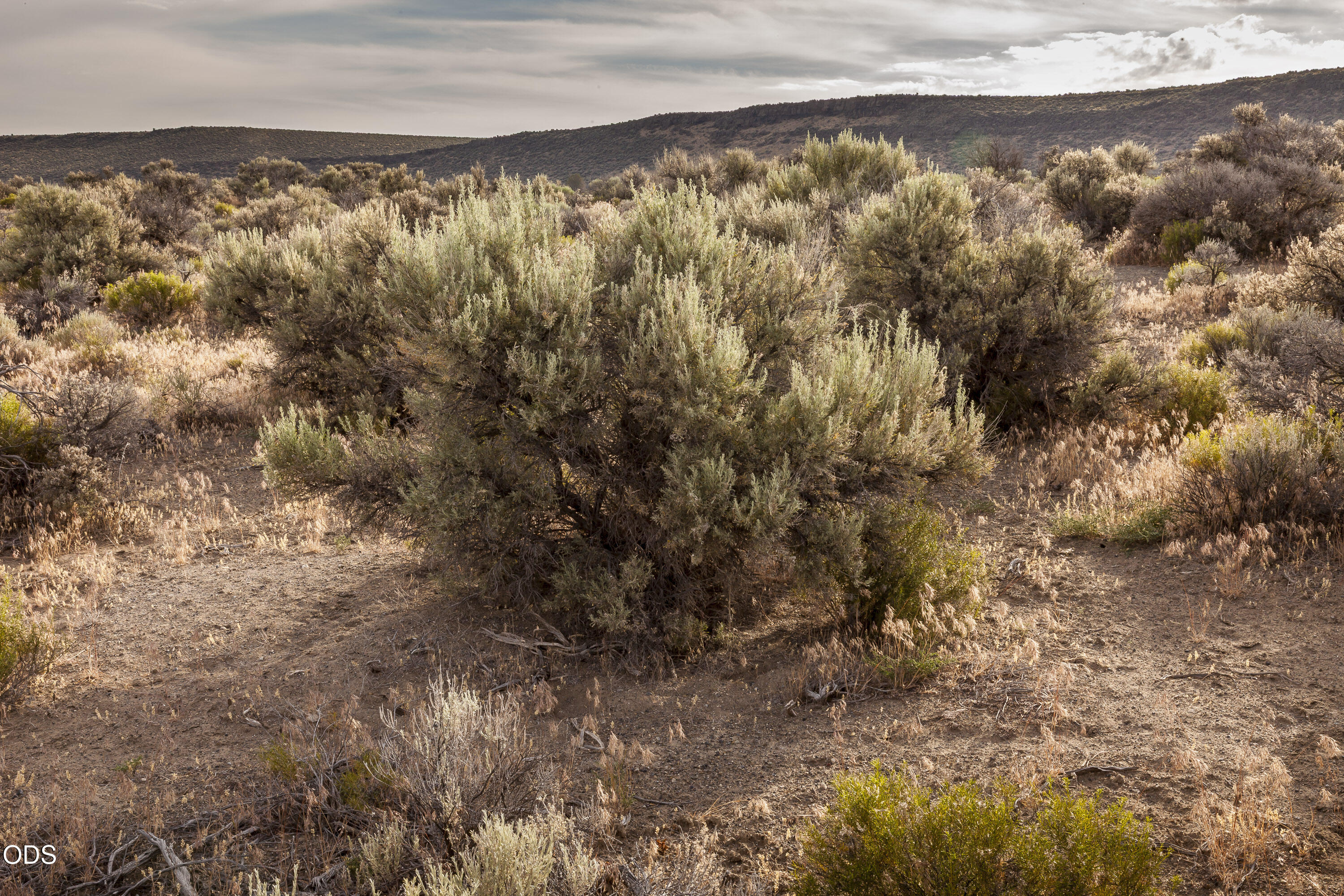 0 Buffalo Wells Road Christmas Valley, OR 97641 - Photo 18 of 19