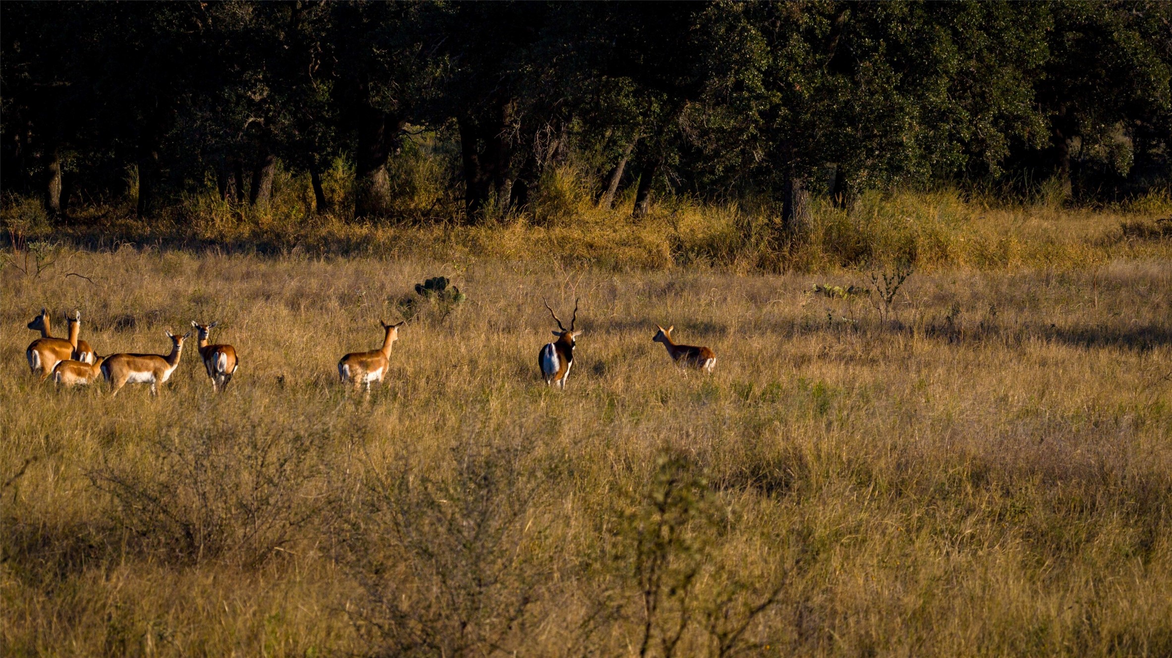 7702 Ranch Road 965 Llano, TX 78643 - Photo 27 of 40 a view of a lake