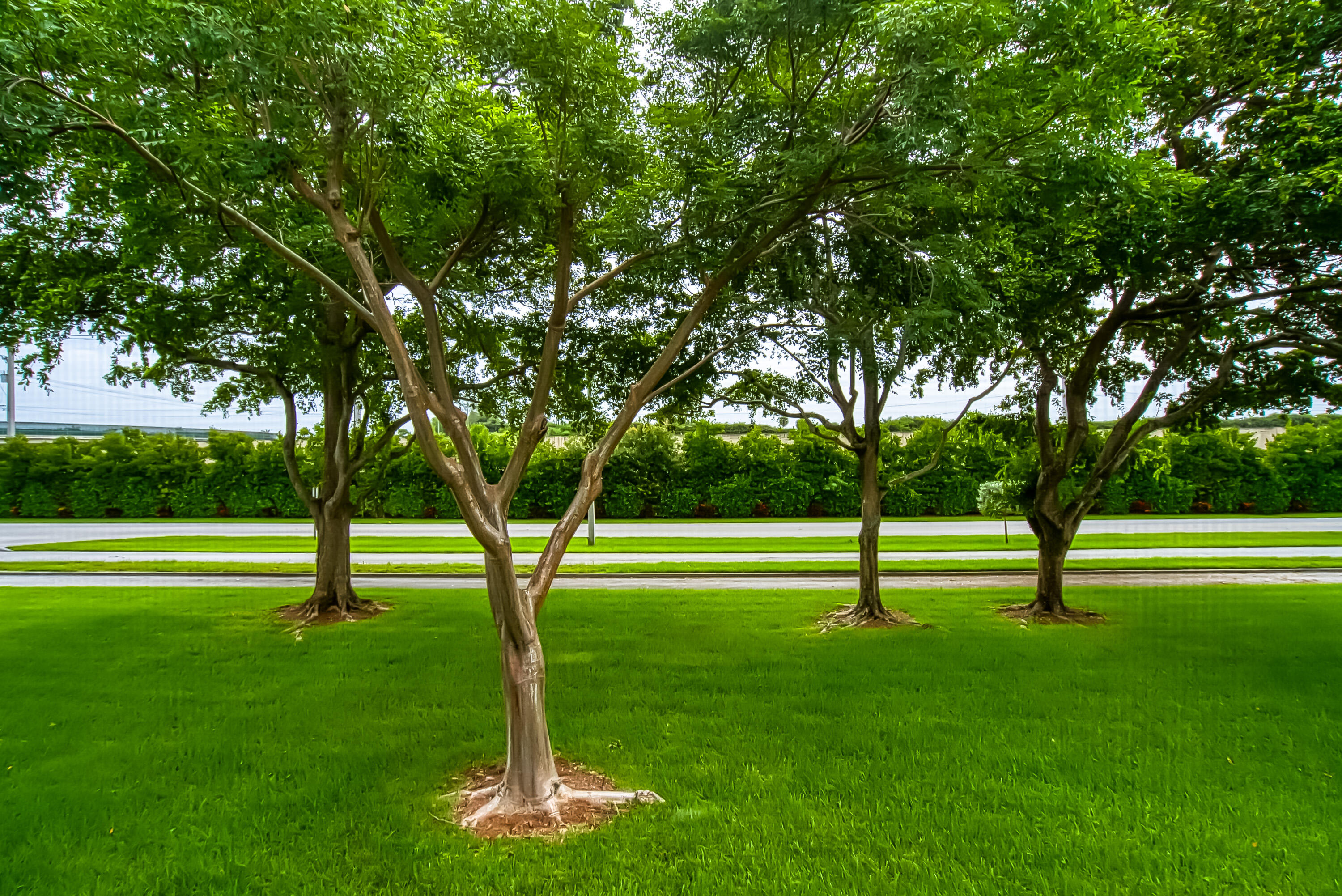 438 Mansfield K, Unit 438 Boca Raton, FL 33434 - Photo 32 of 57 32