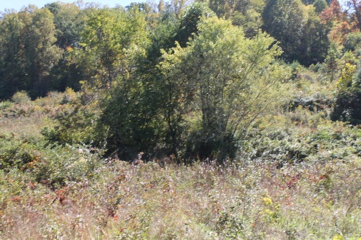 4 Providence Road, Unit 4 Bristol, VA 24202 - Photo 2 of 4 Gallery Image 2