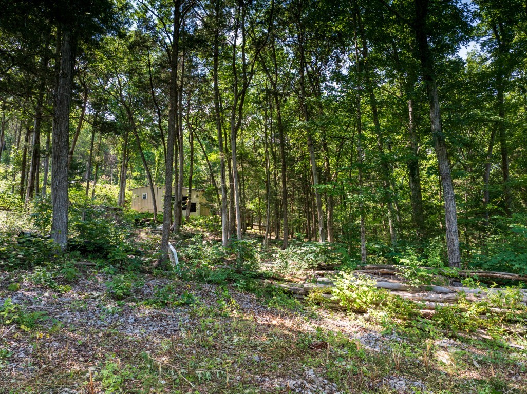 0 McElroy Road Readyville, TN 37149 - Photo 10 of 19