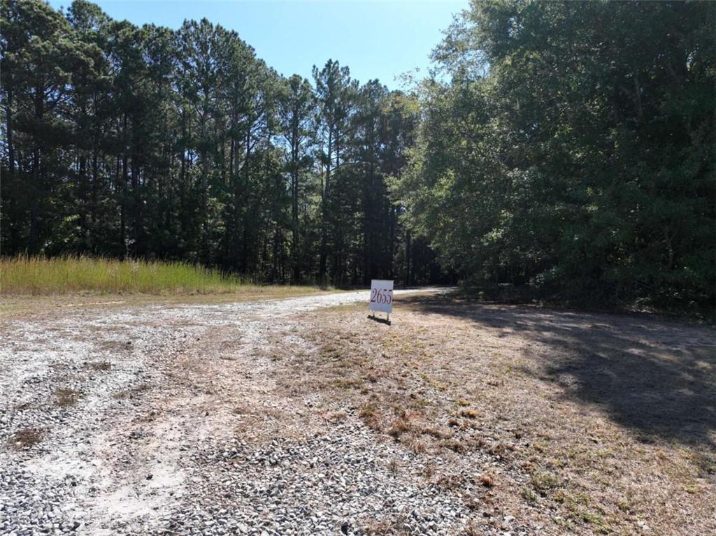 2655 Camp Branch Road Buford, GA 30519 - Photo 15 of 21 a view of outdoor space with trees