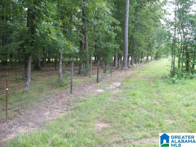 1717 Steele Station Road, Unit 1 Steele, AL 35987 - Photo 8 of 11