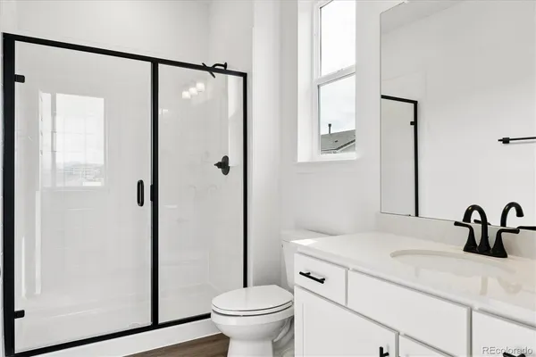 a bathroom with a sink a mirror a toilet and shower