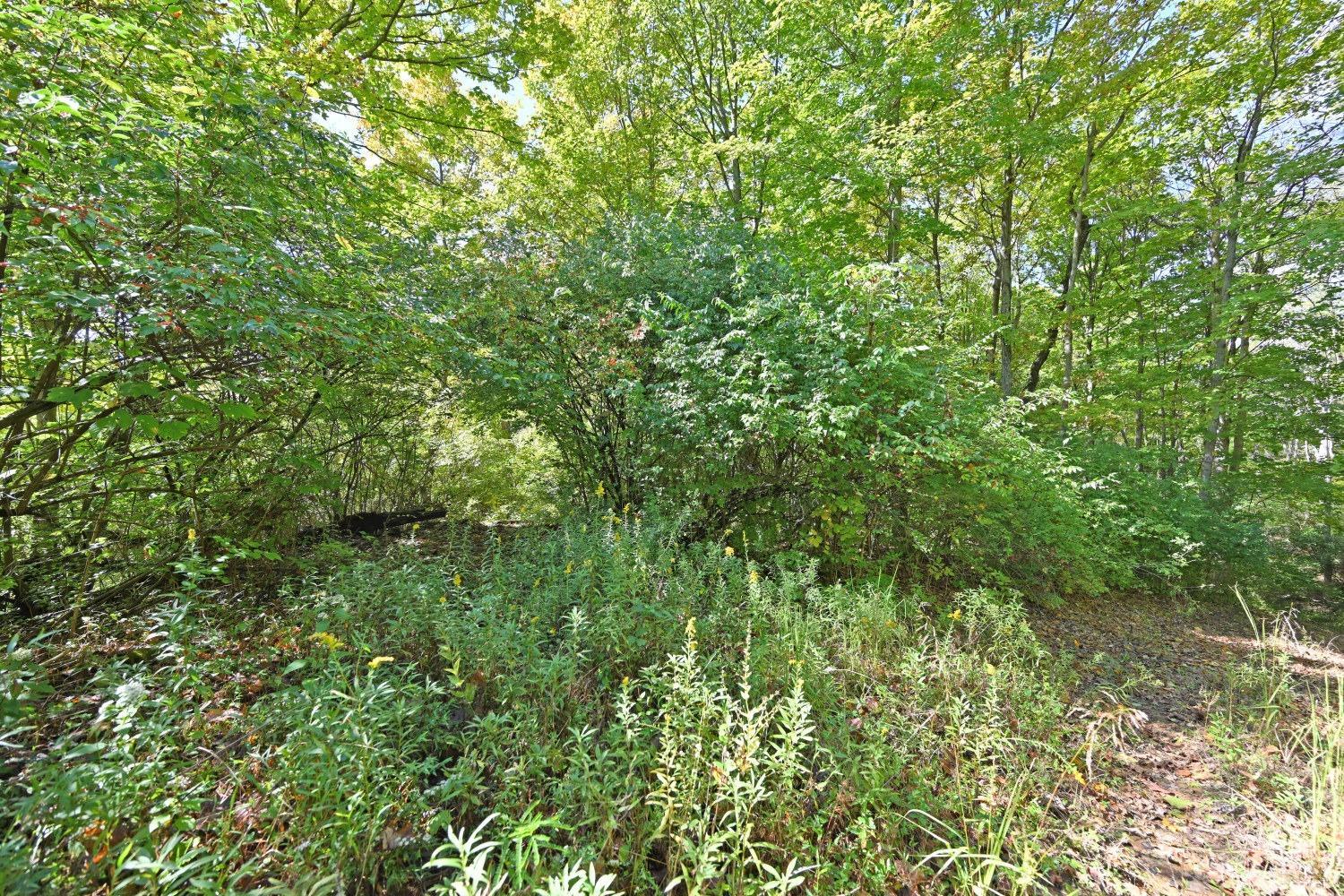 3301 Mt Carmel Road Cincinnati, OH 45244 - Photo 8 of 30