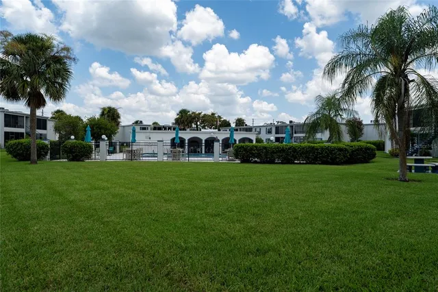 a view of a park with palm trees