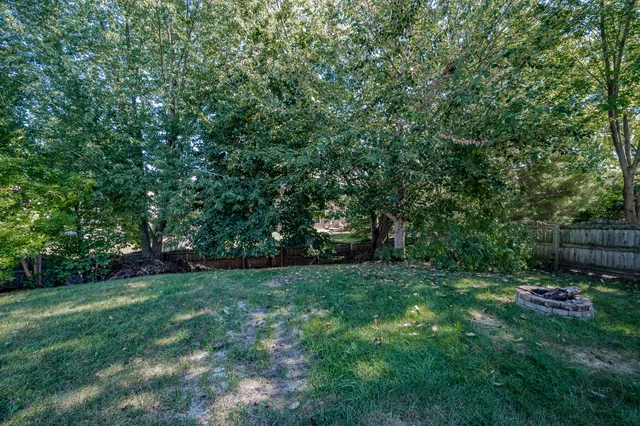 a view of a backyard