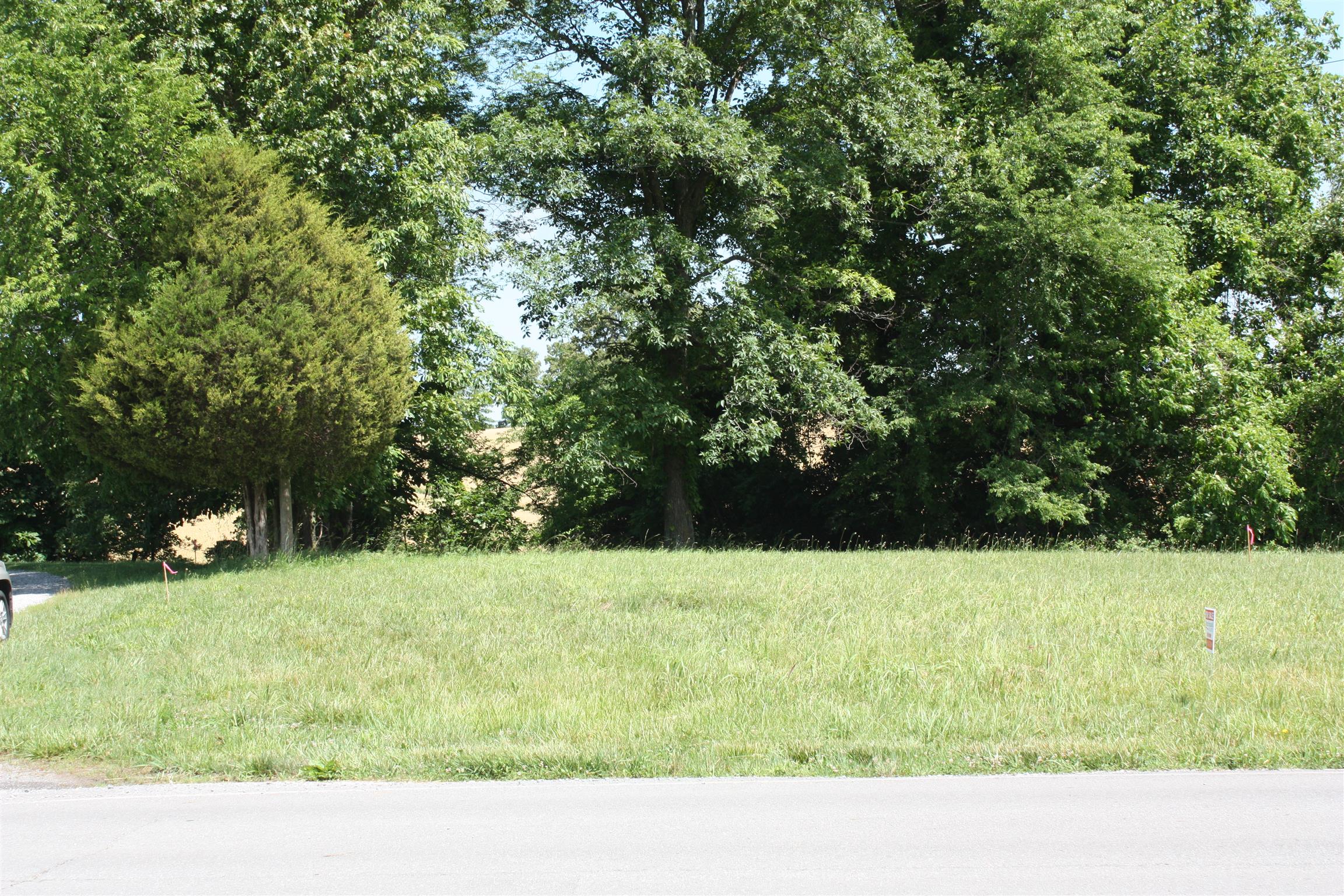 a open area with trees in the background