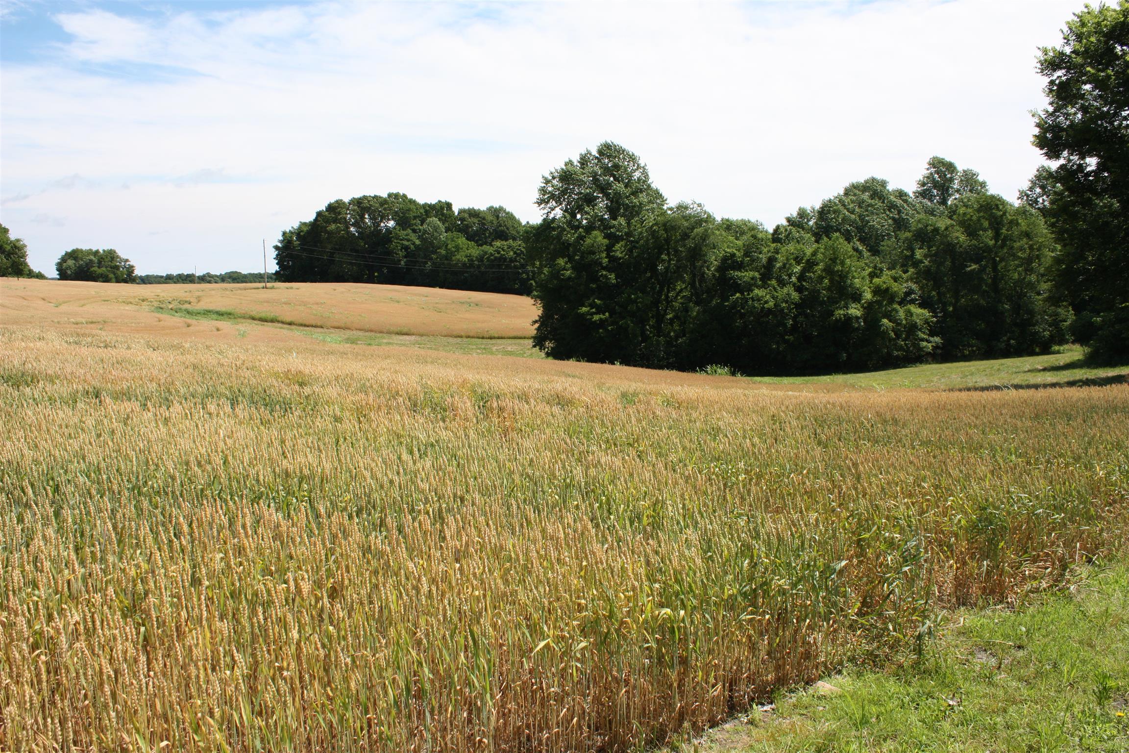 3 New Chapel Road Springfield, TN 37172 - Photo 3 of 4 a view of an ocean and mountain