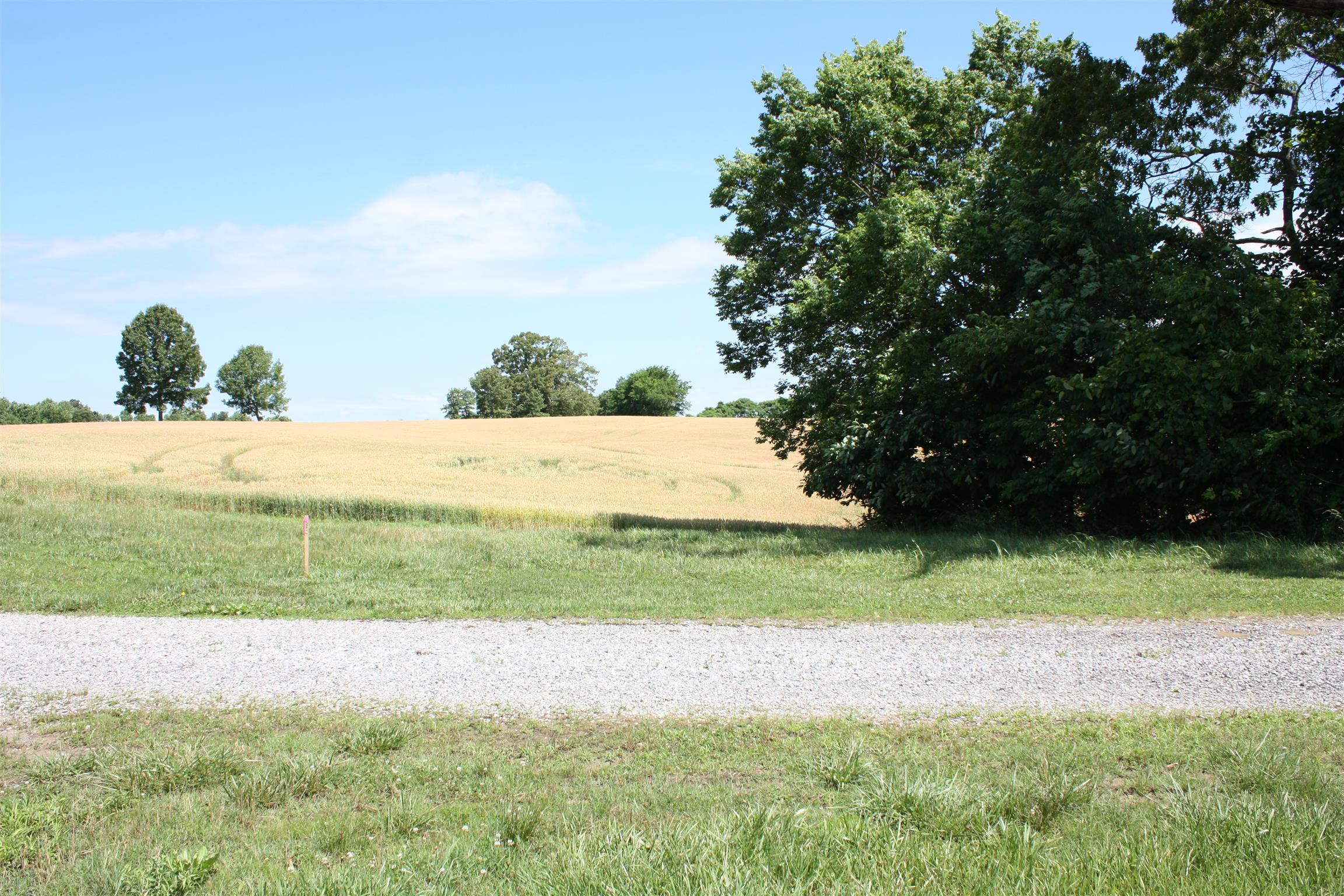 3 New Chapel Road Springfield, TN 37172 - Photo 4 of 4 a view of a yard