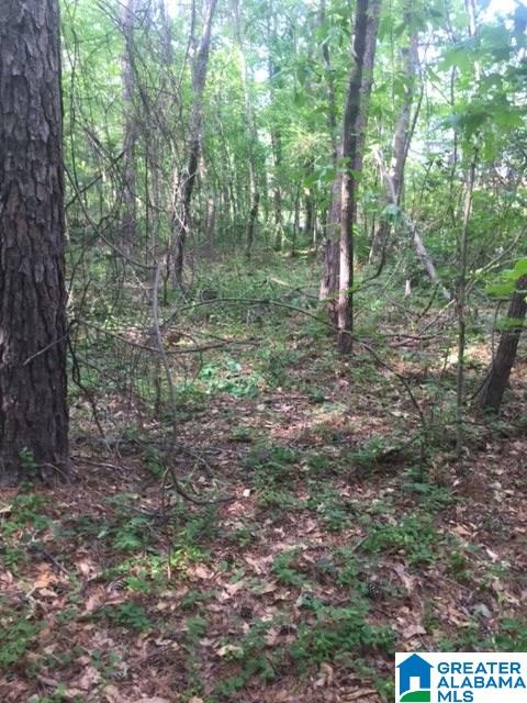 0 Mays Bend Road, Unit 26 Pell City, AL 35128 - Photo 9 of 16