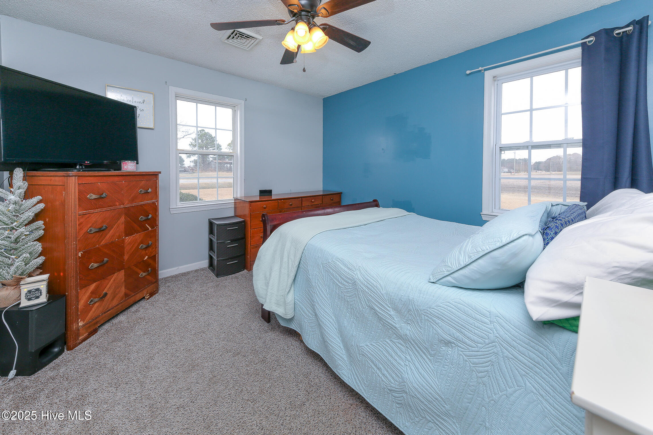 409 Center Hill Road Tyner, NC 27980 - Photo 13 of 20 Front bedroom, primary