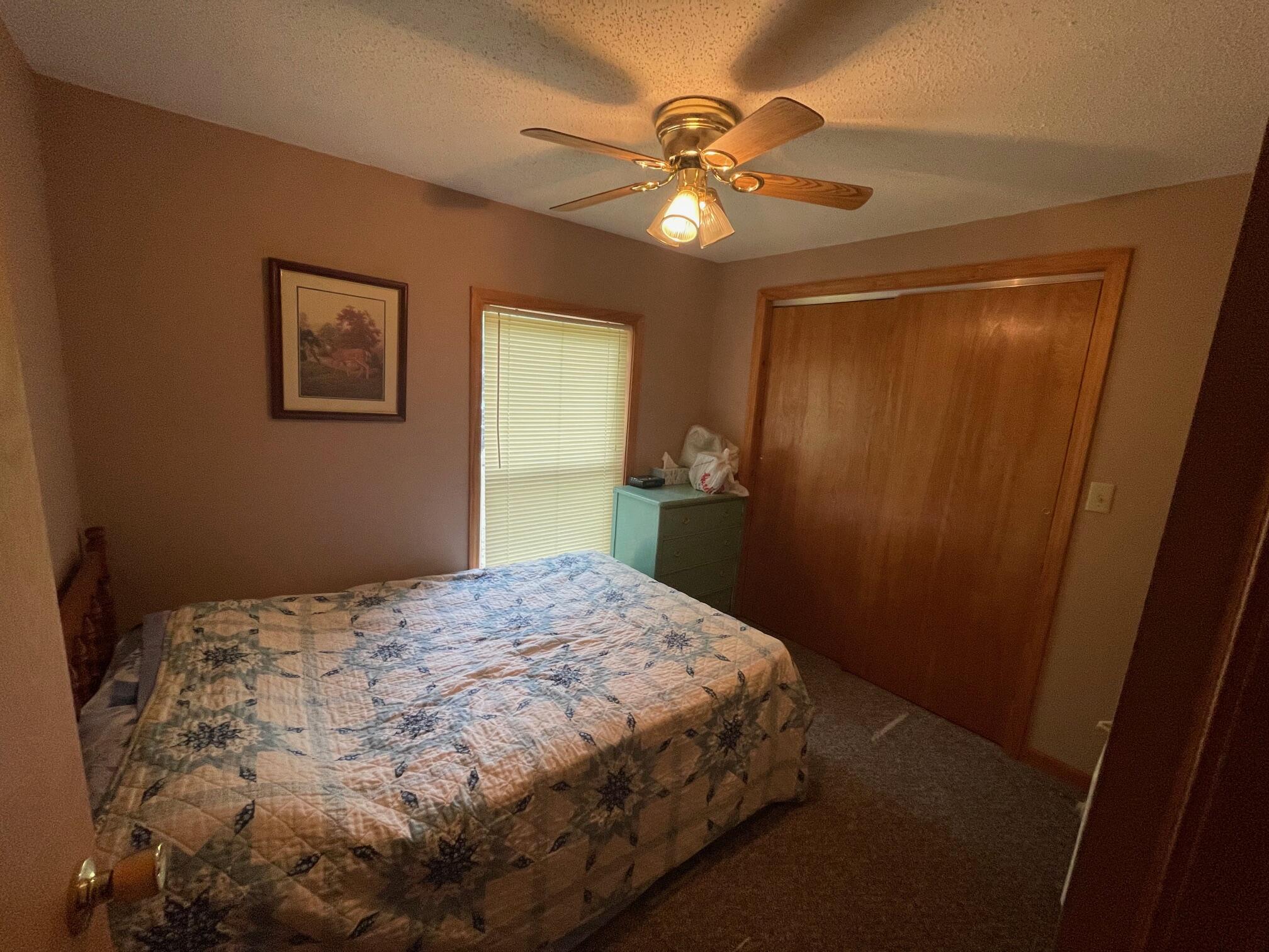 4326 Swihart Road Brethren, MI 49619 - Photo 6 of 19 IMG_5156