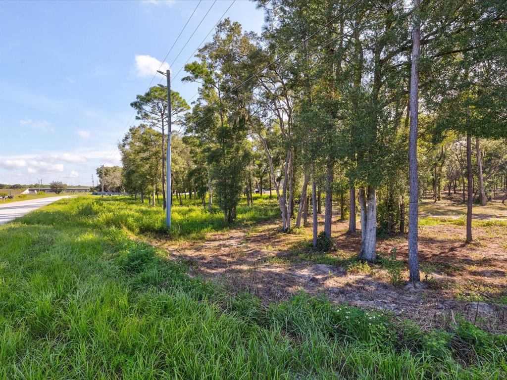 15504 Lenway Road Spring Hill, FL 34610 - Photo 5 of 17 Gallery Image 5