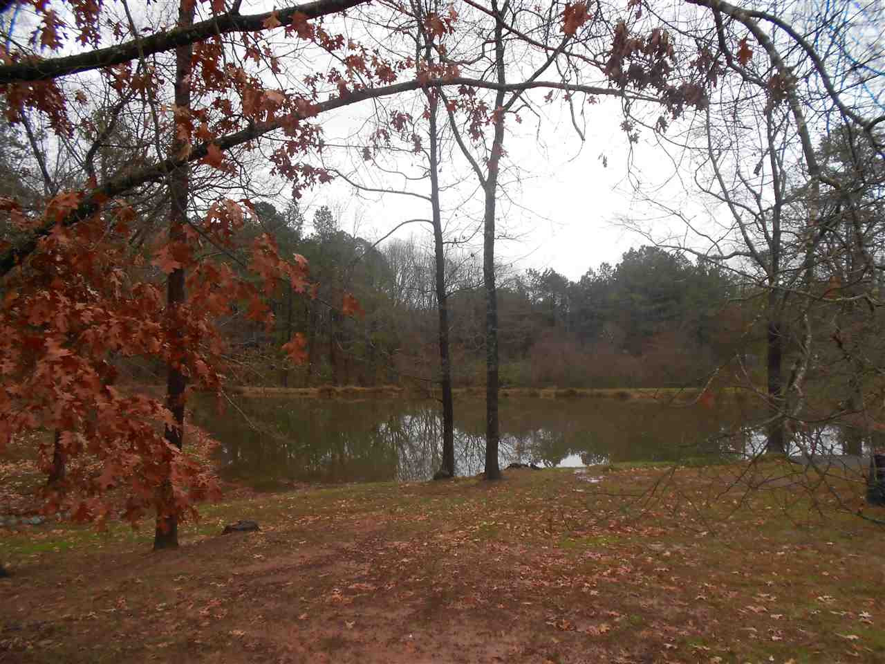1803 Euclid Road Durham, NC 27713 - Photo 22 of 23 One of two community ponds within walking distance on Euclid Rd