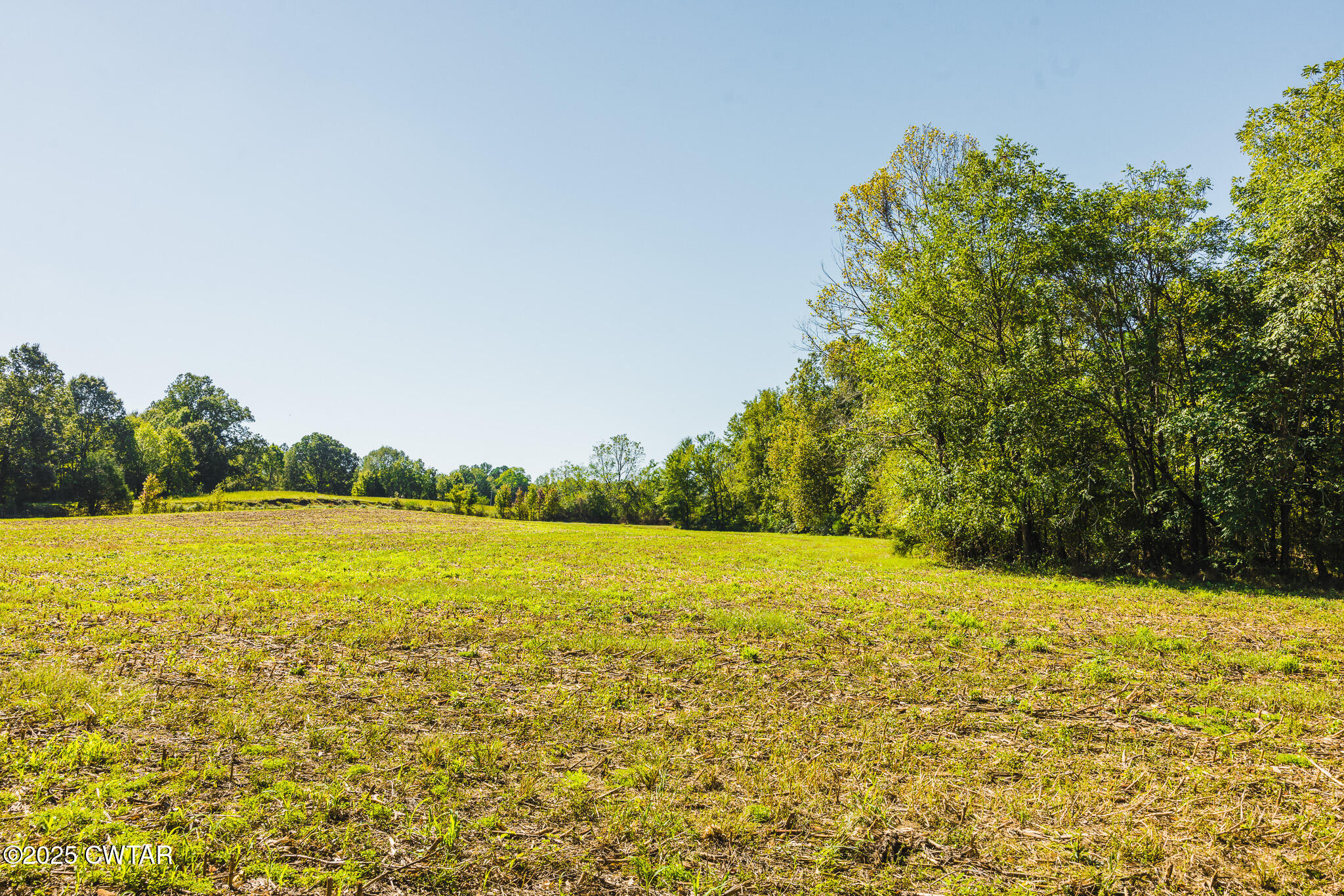 3 Hearn Road Greenfield, TN 38230 - Photo 11 of 14 FT8A9849
