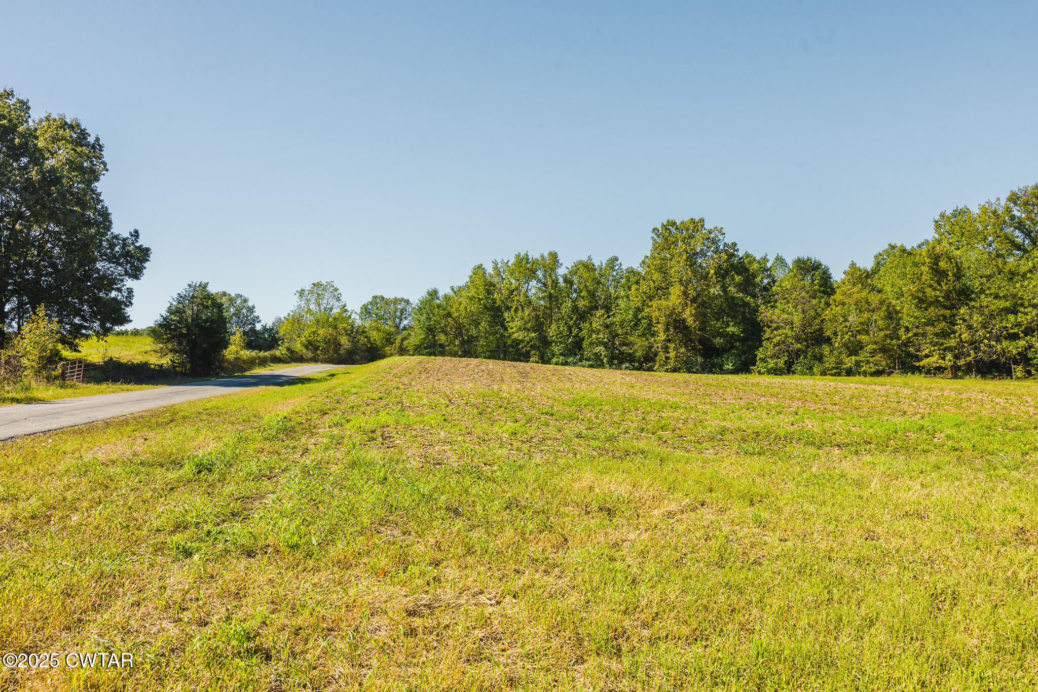 3 Hearn Road Greenfield, TN 38230 - Photo 13 of 14 FT8A9851