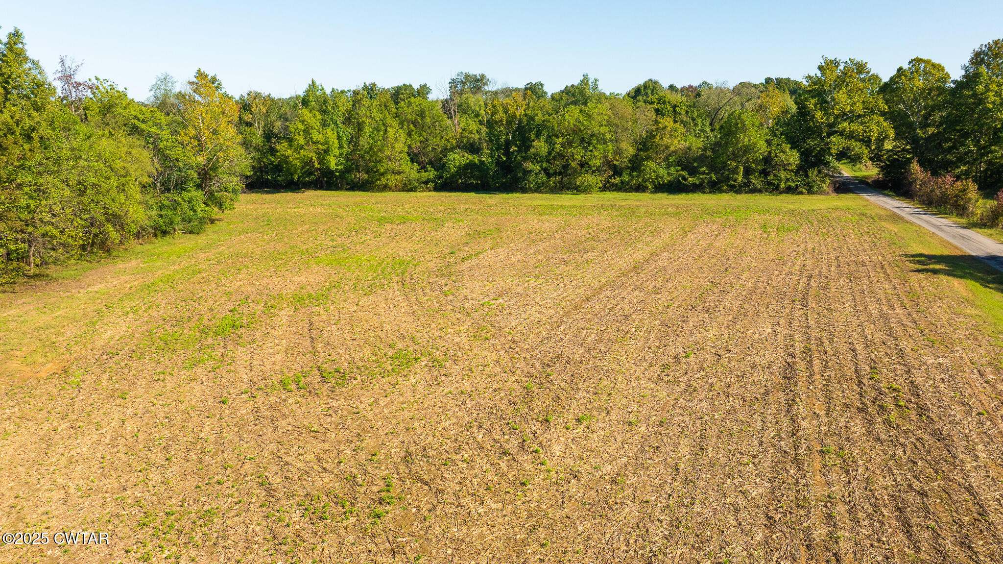 3 Hearn Road Greenfield, TN 38230 - Photo 3 of 14 DJI_20251009104022_0105_D