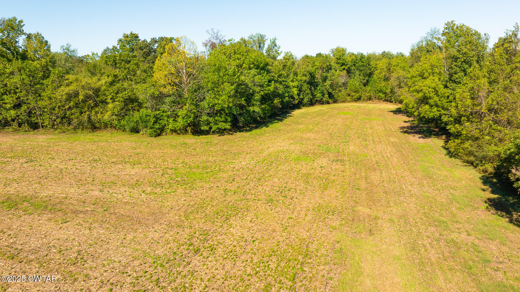 3 Hearn Road Greenfield, TN 38230 - Photo 4 of 14 DJI_20251009104036_0106_D
