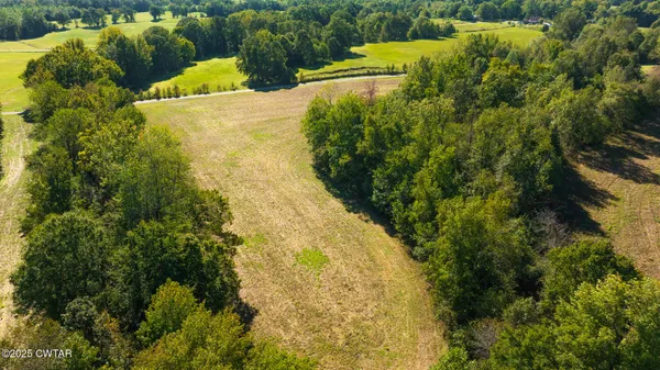 a view of a yard