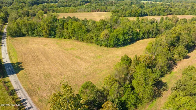 a view of a swimming pool and an outdoor space