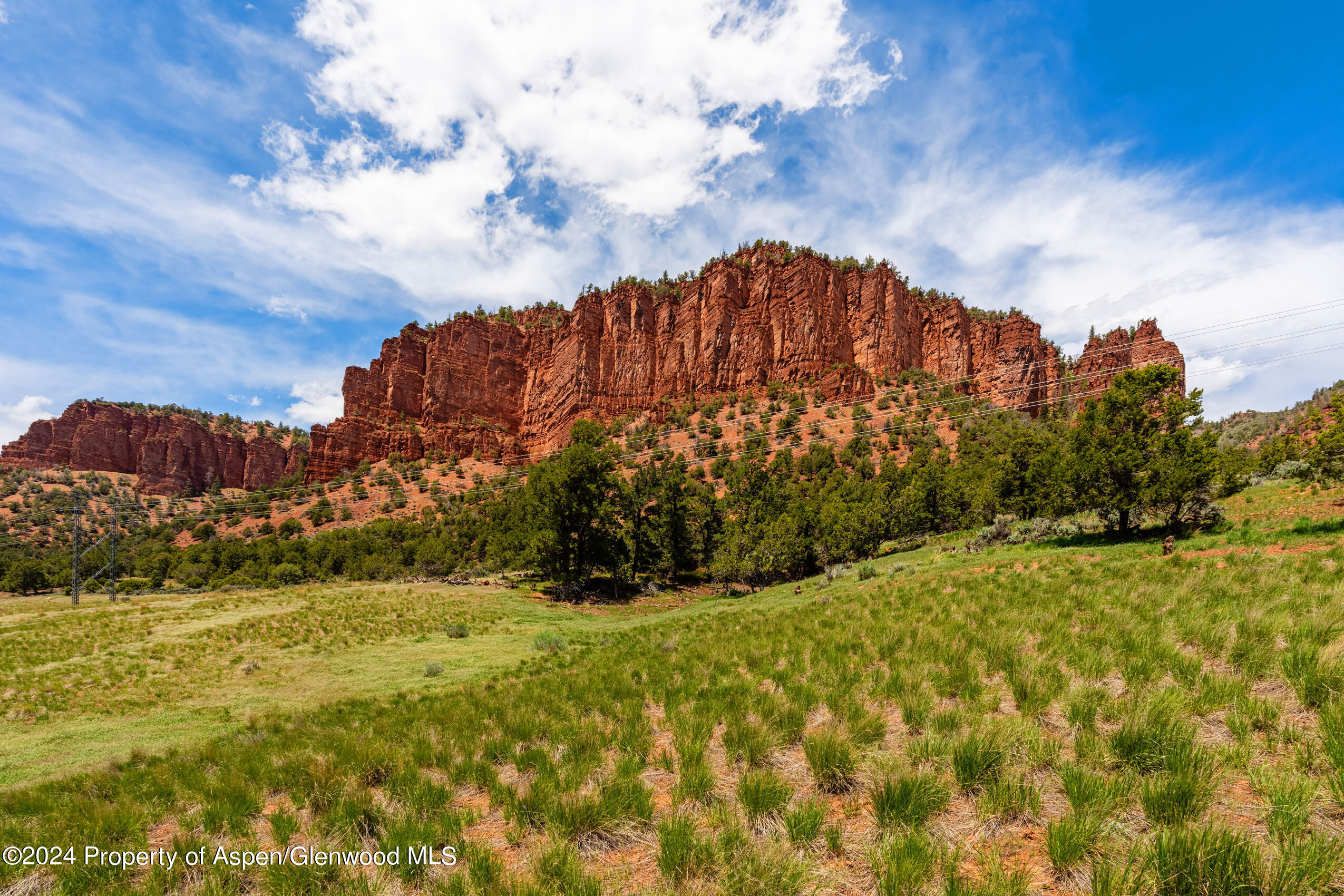299 Knight Road Basalt, CO 81621 - Photo 6 of 48 a view of tall trees with a big yard