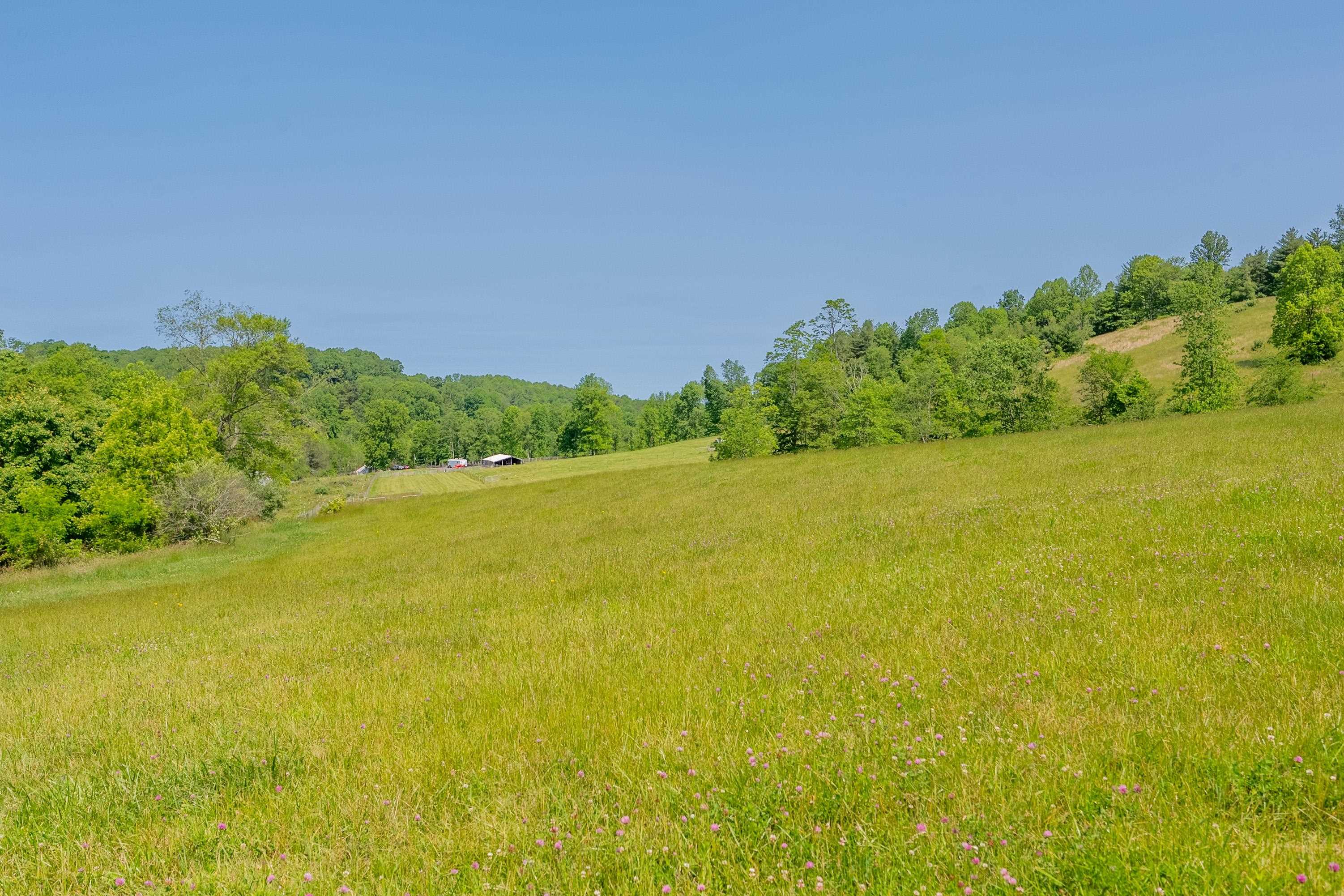 Tbd Tbd Gibson Knob Road Laurel Fork, VA 24352 - Photo 55 of 65 Gallery Image 55
