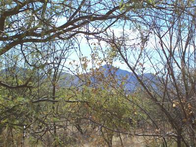 36751 South Arivaca Ranch Road Arivaca, AZ 85601 - Photo 1 of 4