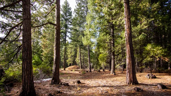 $30,000 | 1 Ritts Mill Road, Macdoel, CA 96058