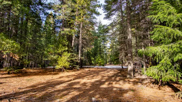 $30,000 | 1 Ritts Mill Road, Macdoel, CA 96058