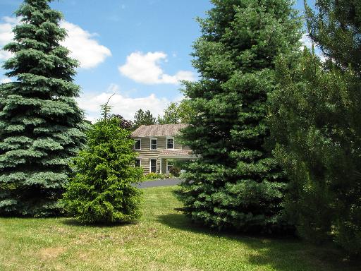 6N755 Murray Road St. Charles, IL 60175 - Photo 2 of 16 a view of a house with a backyard