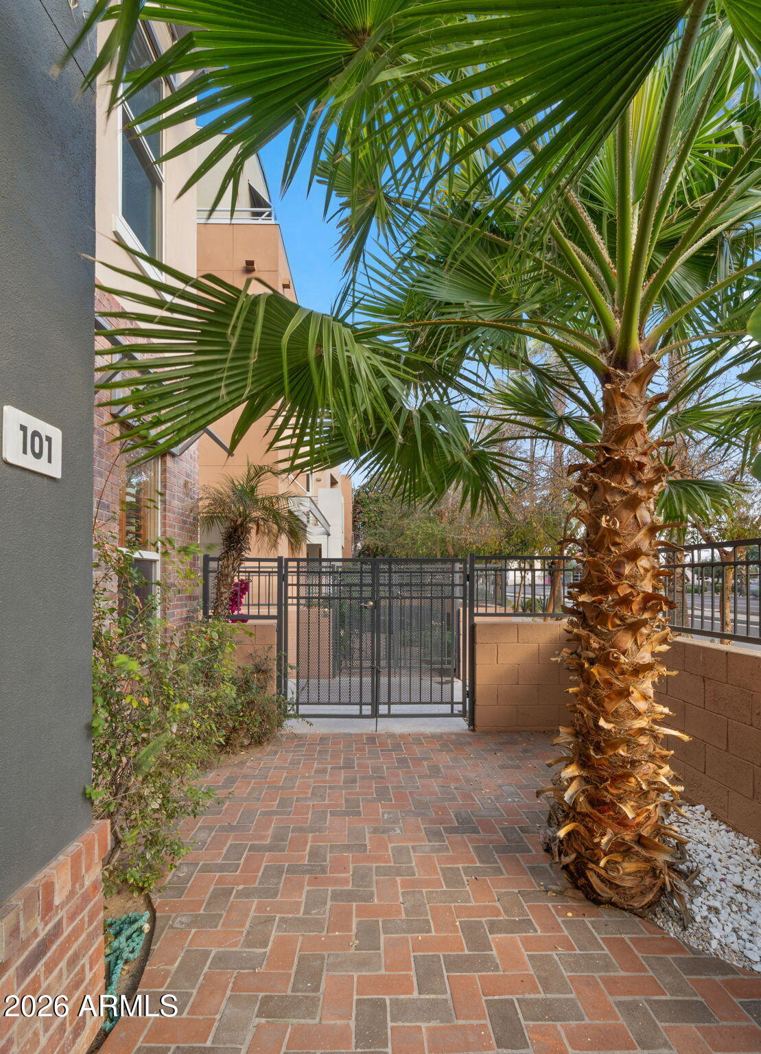 706 East Washington Street, Unit 101 Phoenix, AZ 85034 - Photo 3 of 32 Palm Tree in your Patio!
