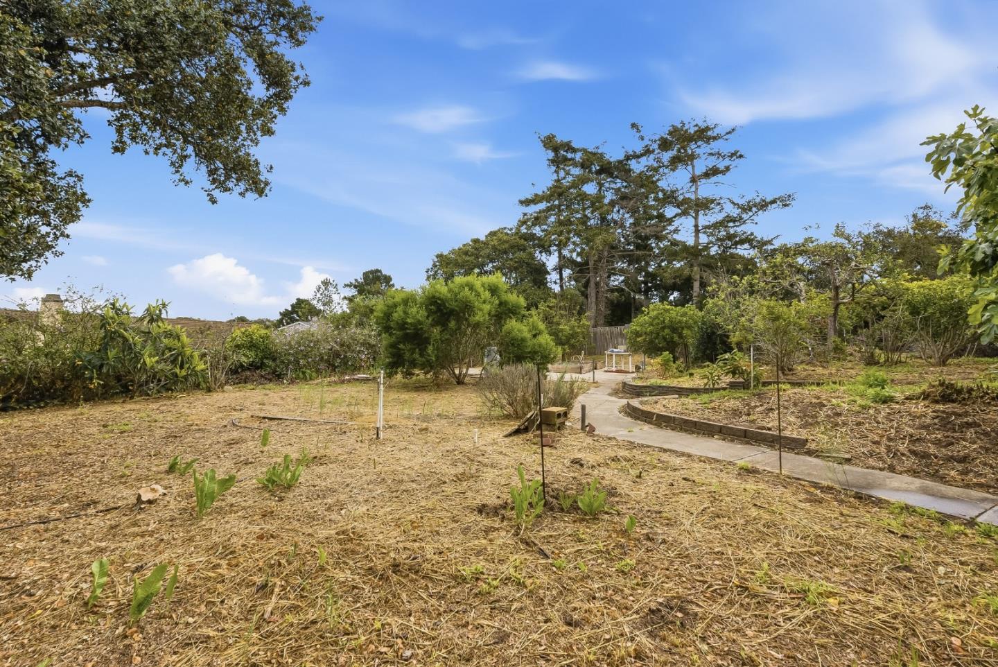 15269 Century Oak Road Salinas, CA 93907 - Photo 23 of 25