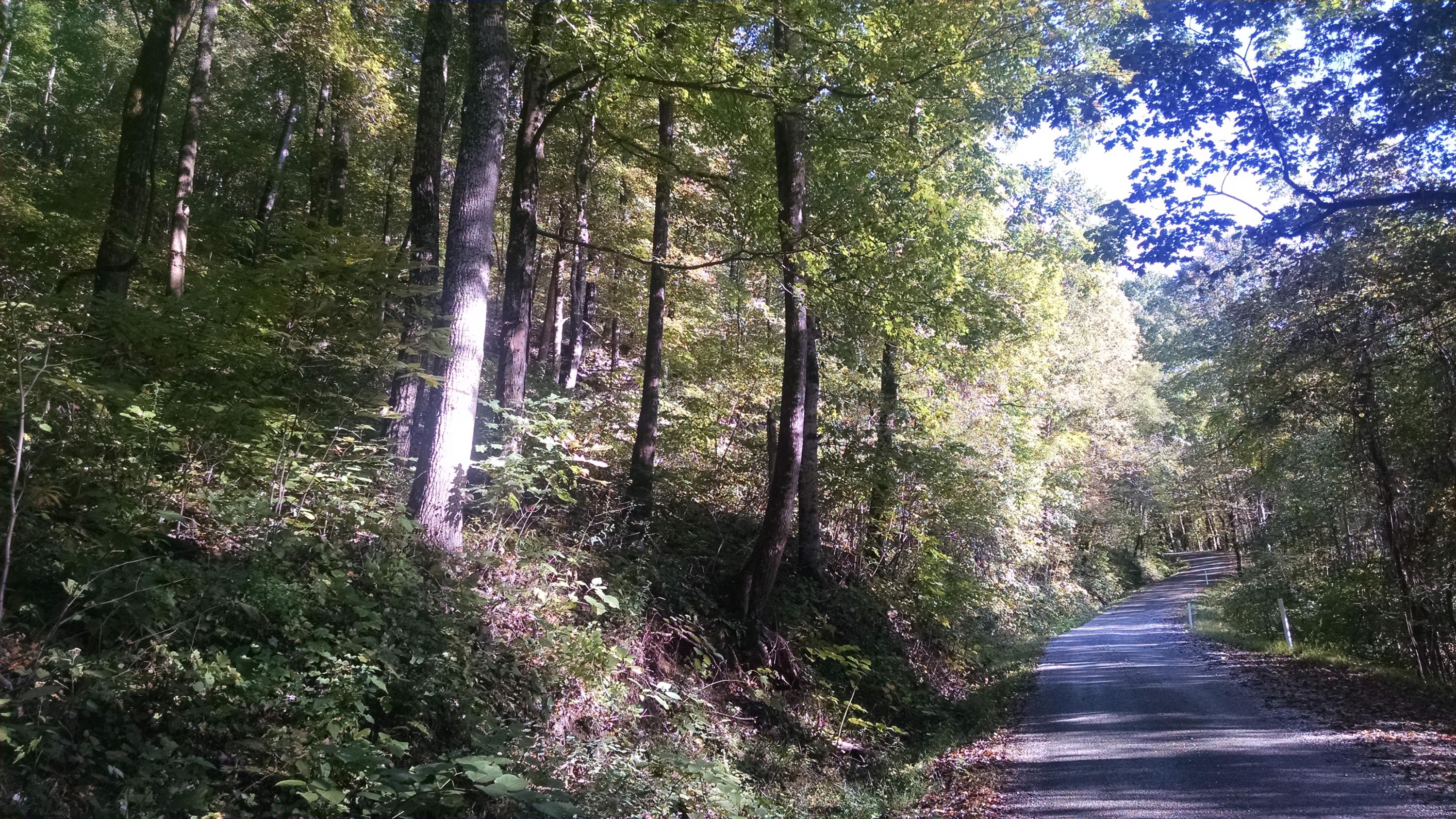 0 Lowe's Gap Road Pikeville, TN 37367 - Photo 1 of 10 2015-10-04 16.31.50