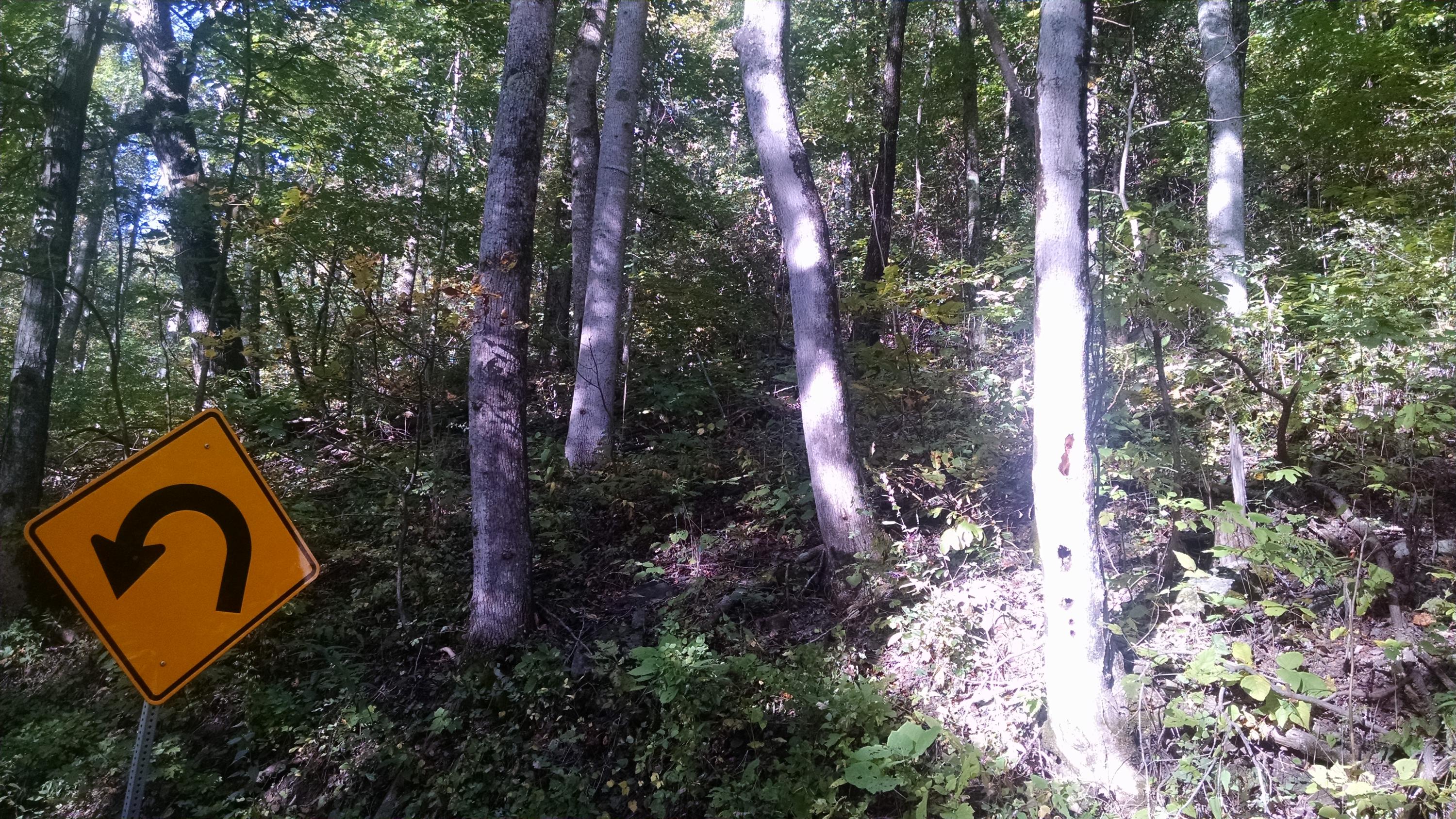0 Lowe's Gap Road Pikeville, TN 37367 - Photo 3 of 10 2015-10-04 16.32.15