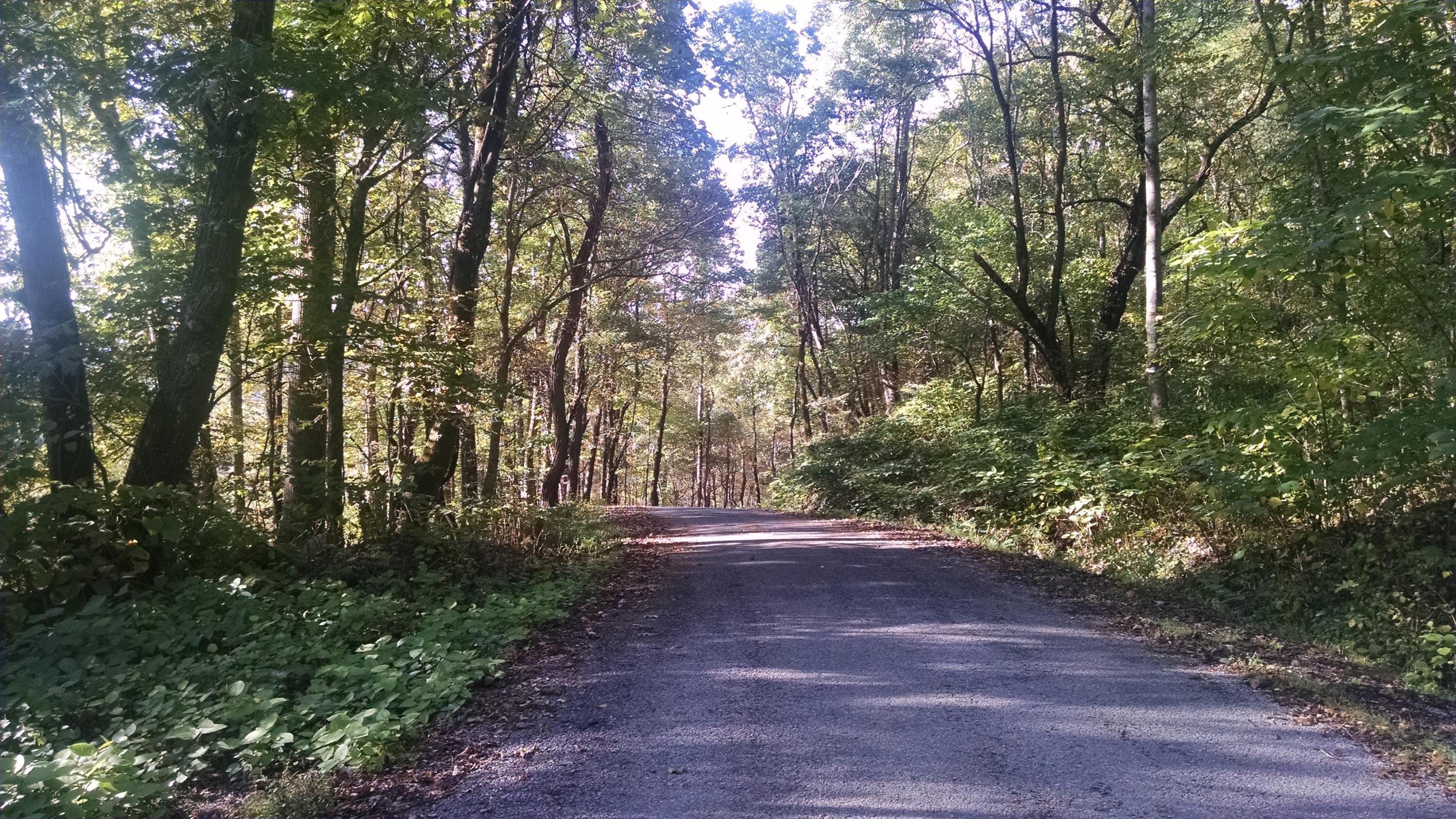 0 Lowe's Gap Road Pikeville, TN 37367 - Photo 5 of 10 2015-10-04 16.35.22
