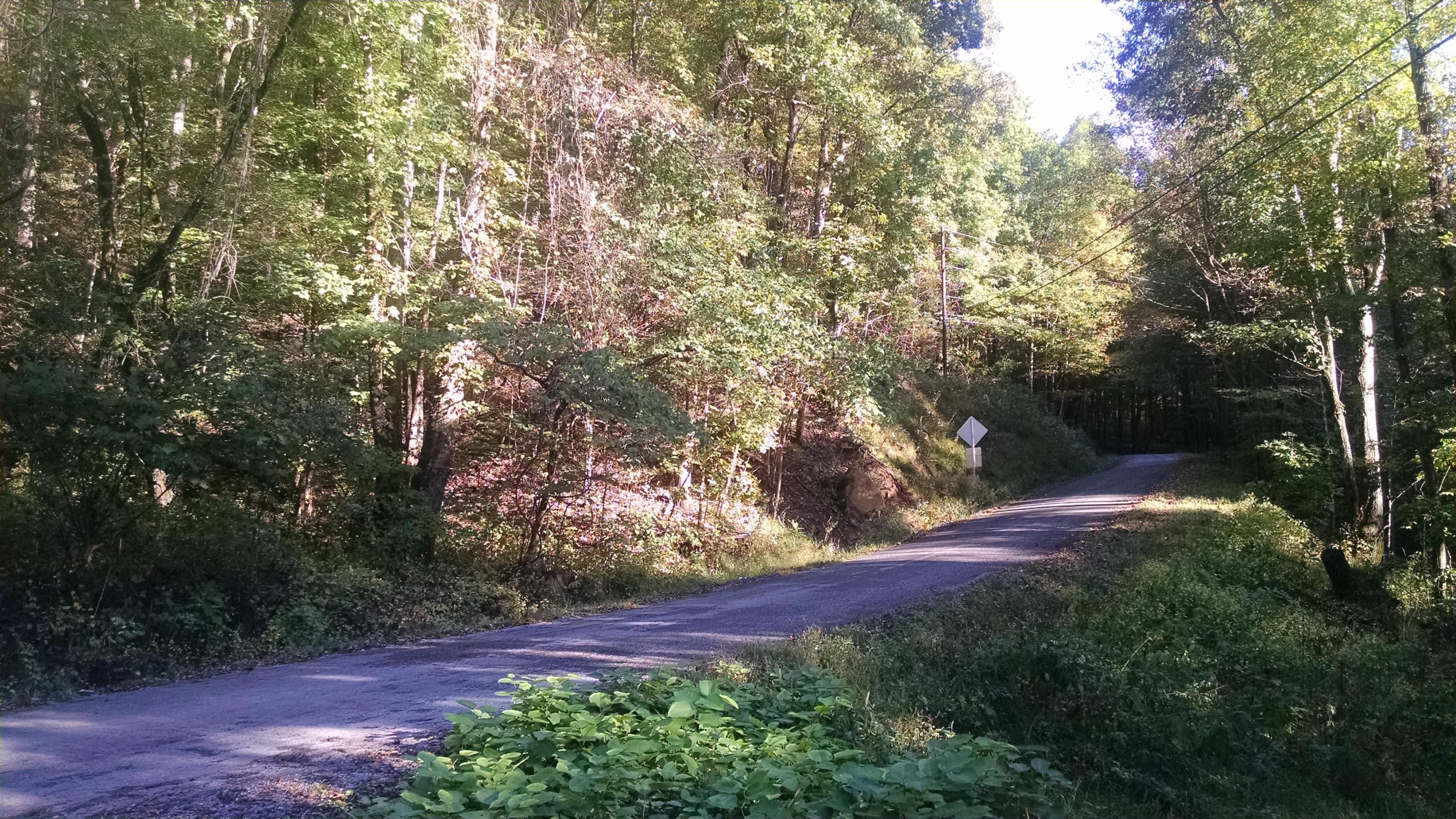 0 Lowe's Gap Road Pikeville, TN 37367 - Photo 7 of 10 2015-10-04 16.35.59