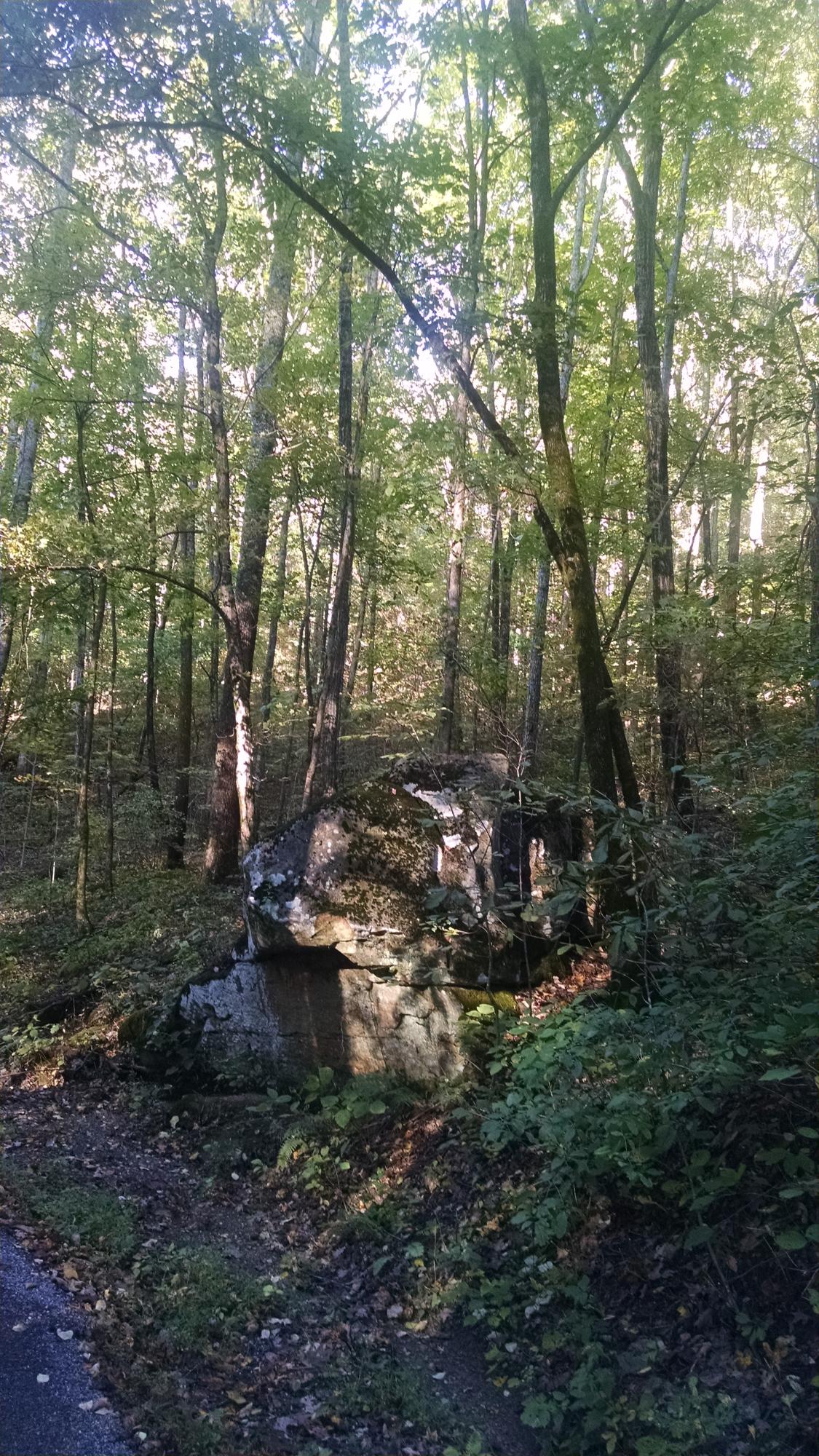 0 Lowe's Gap Road Pikeville, TN 37367 - Photo 10 of 10 2015-10-04 16.48.06