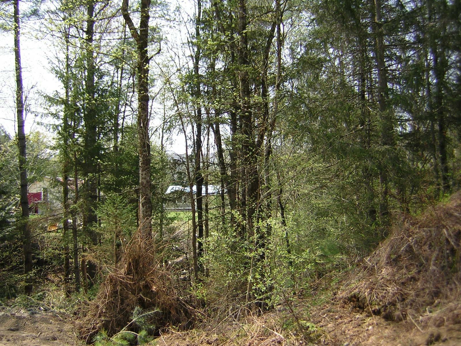 Lot 15 Collins Hill Road, Unit LOT 15C Johnson, VT 05656 - Photo 15 of 16 Gallery Image 15