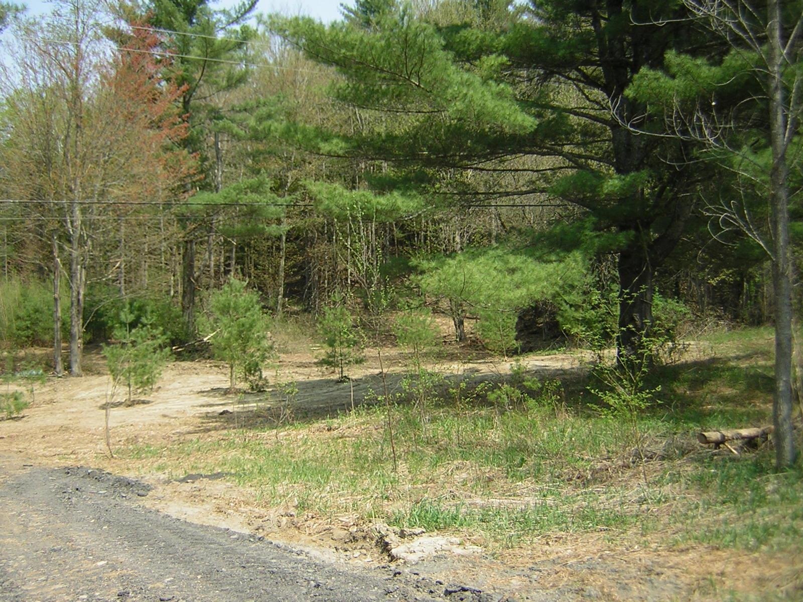 Lot 15 Collins Hill Road, Unit LOT 15C Johnson, VT 05656 - Photo 9 of 16 Gallery Image 9