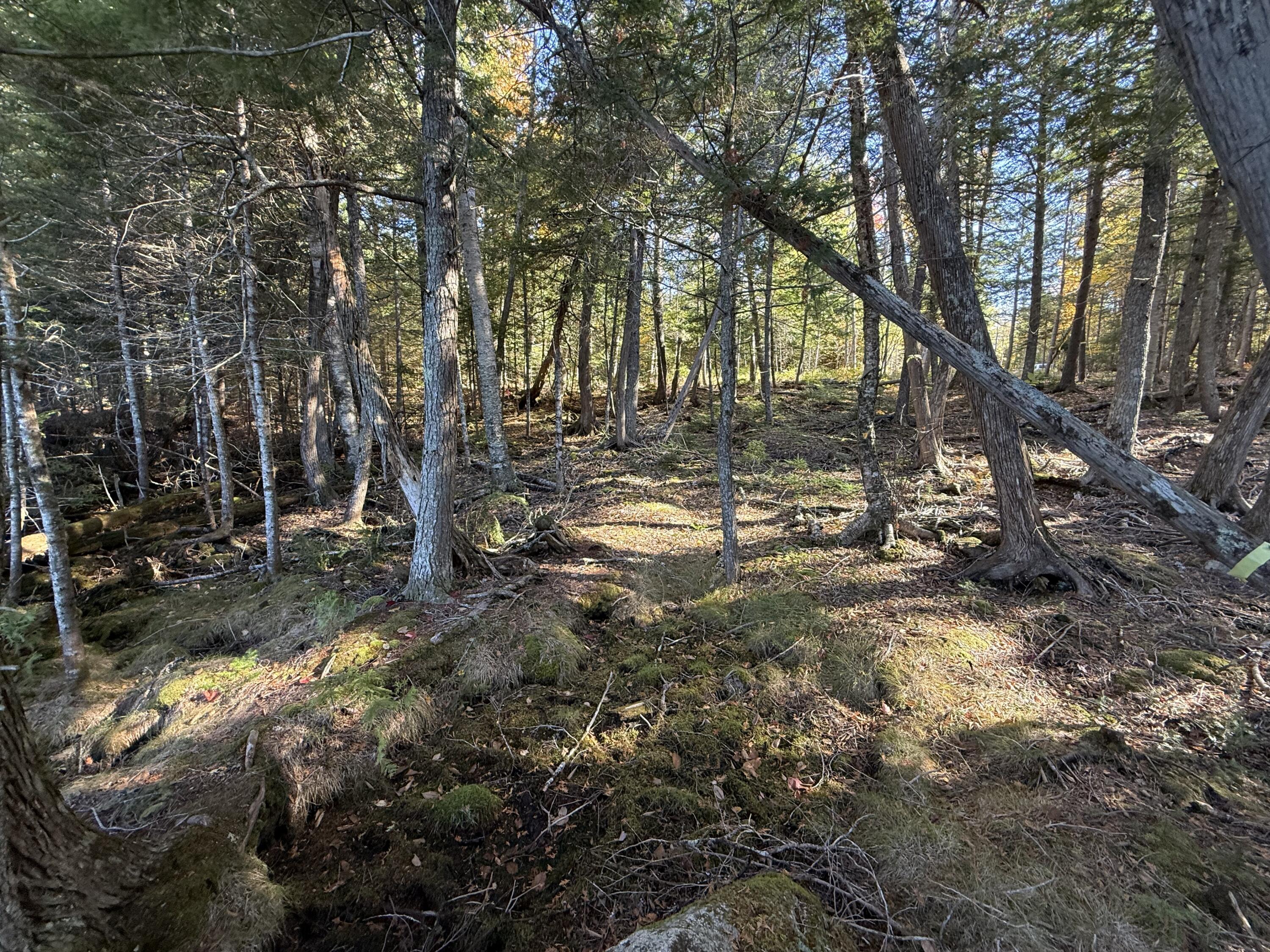 2 East Shore Road Wytopitlock, ME 04497 - Photo 14 of 16